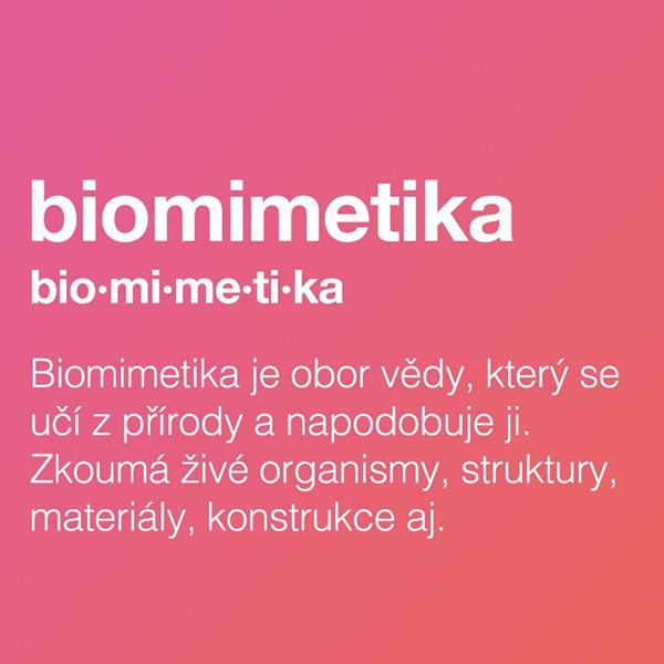 Biomimetika s K18 Hair
